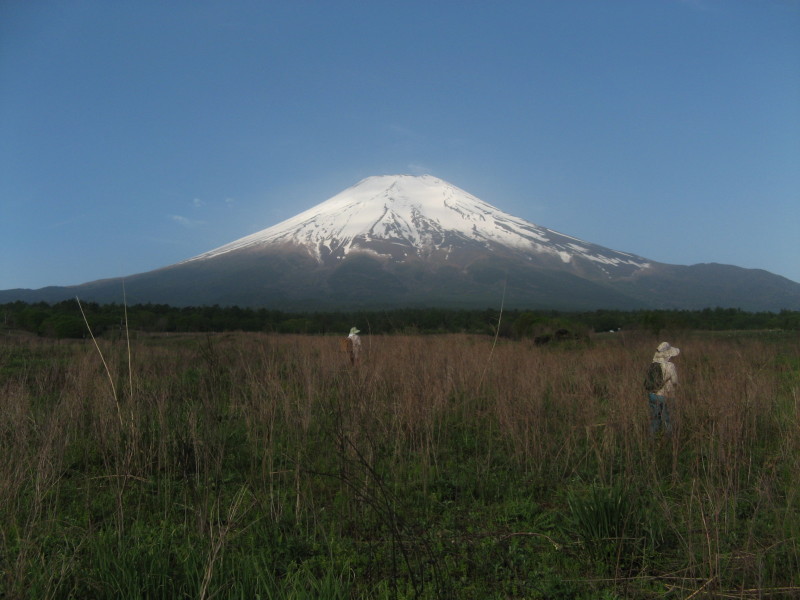 富士山画像作品