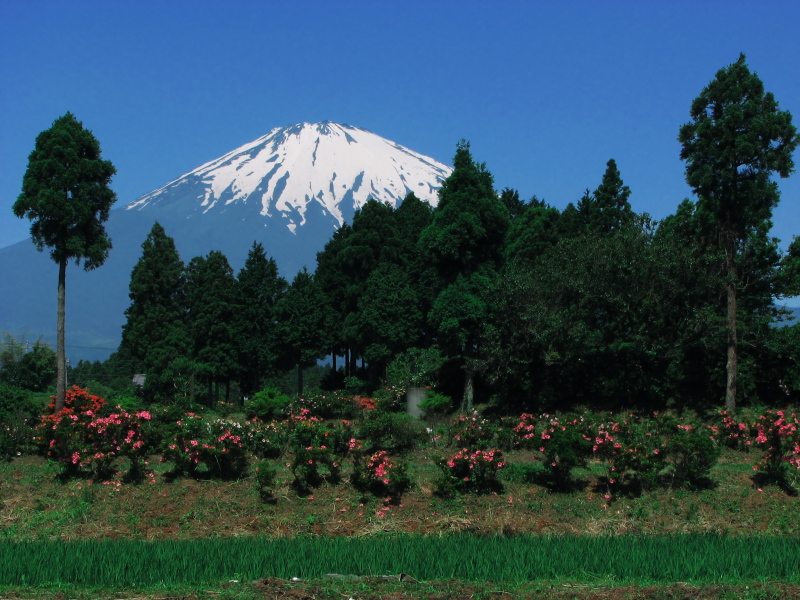 富士山画像記録