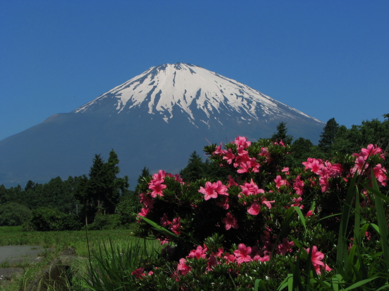 富士山画像記録