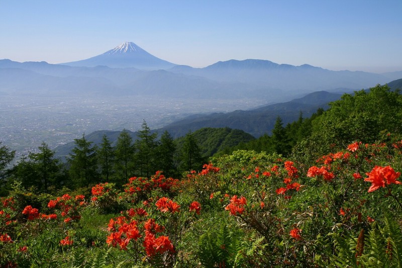 富士山画像作品