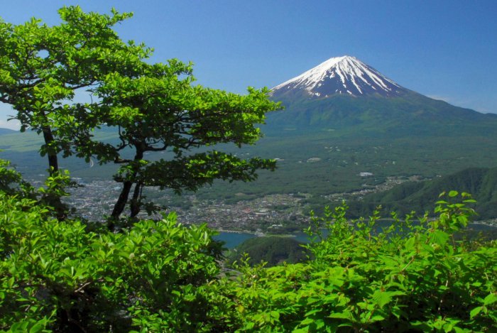 富士山画像作品