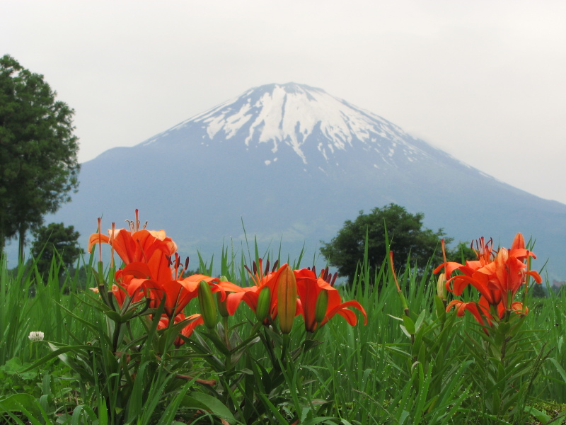 富士山画像記録