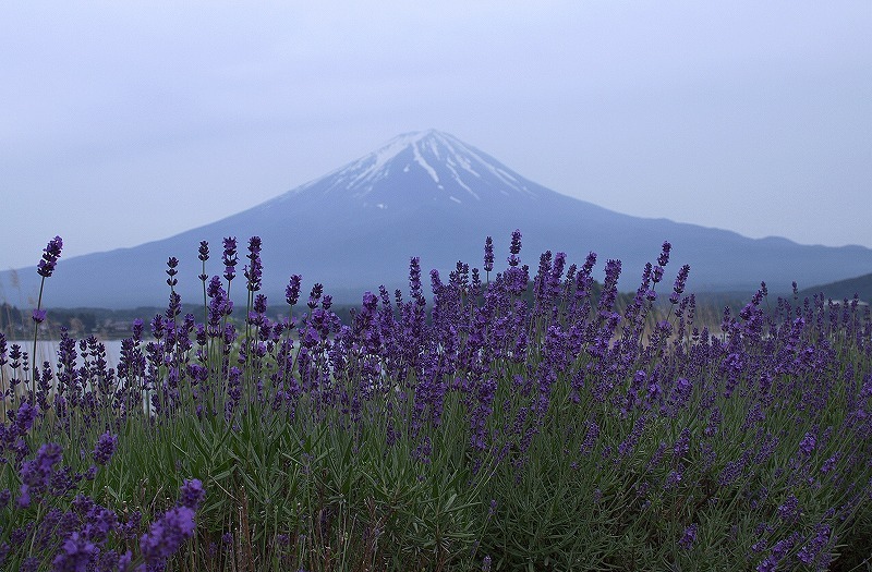 富士山画像記録