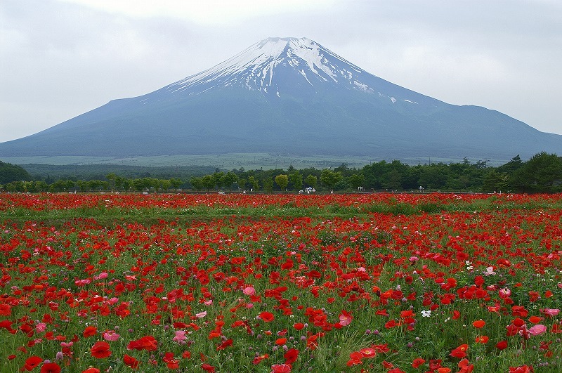 富士山画像記録