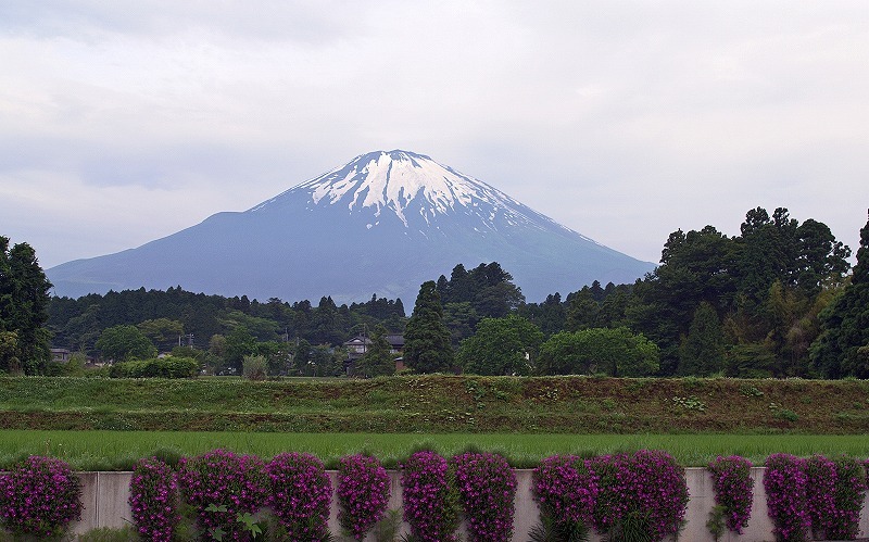 富士山画像記録