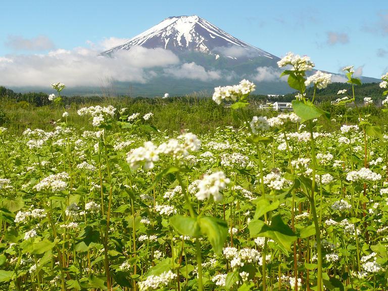 富士山画像作品