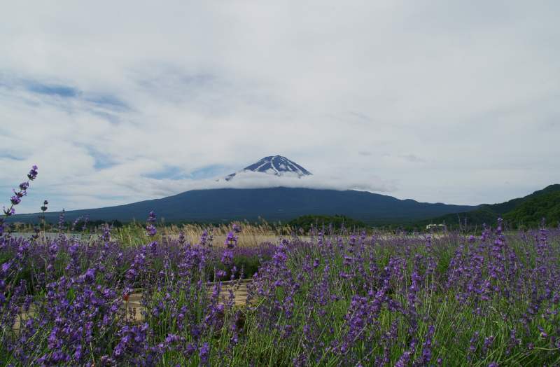 富士山画像記録