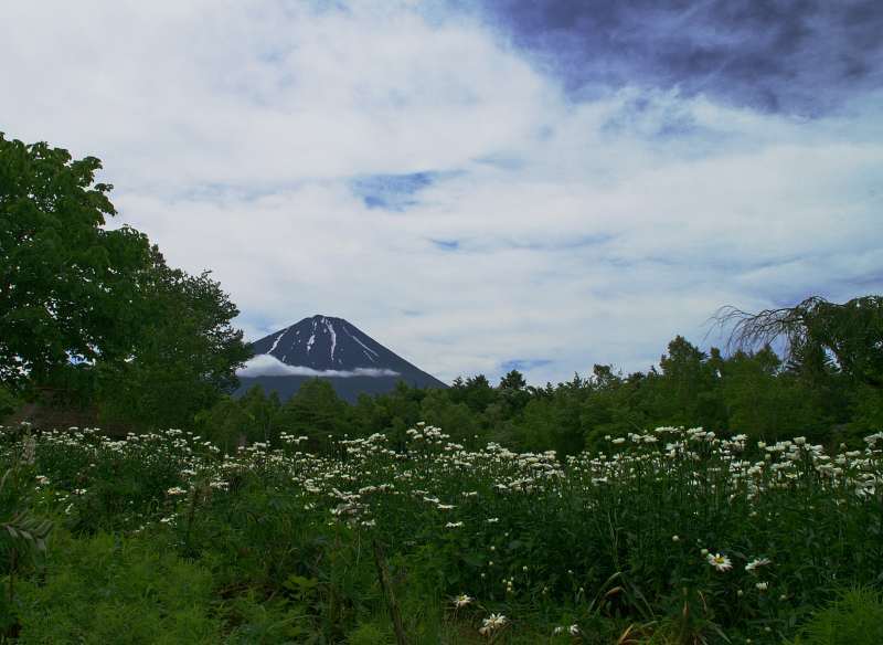 富士山画像記録