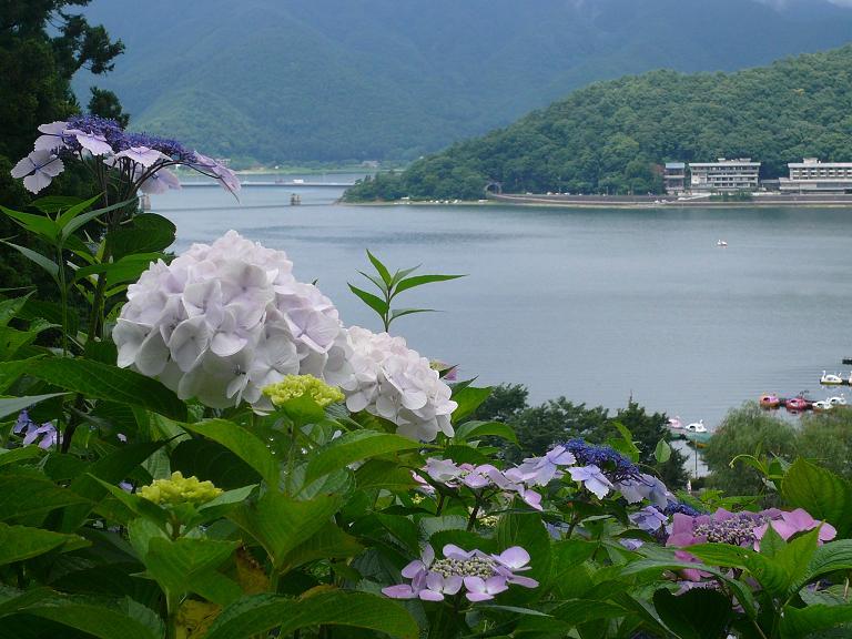 富士山周辺風景