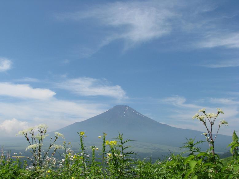 富士山画像記録