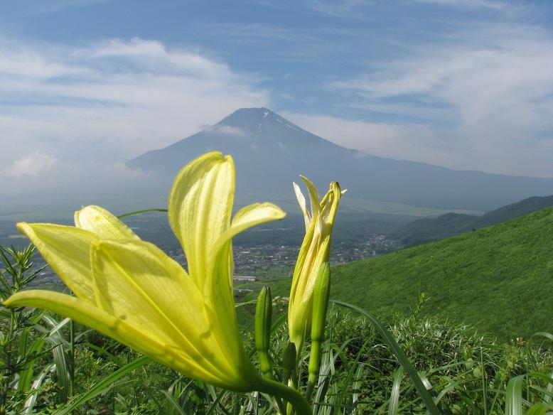 富士山画像記録