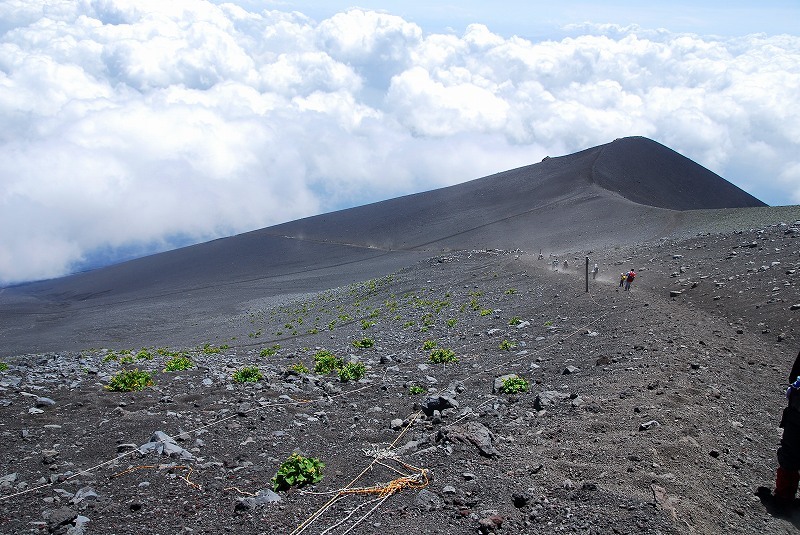 富士山画像記録