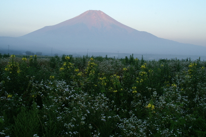 富士山画像作品