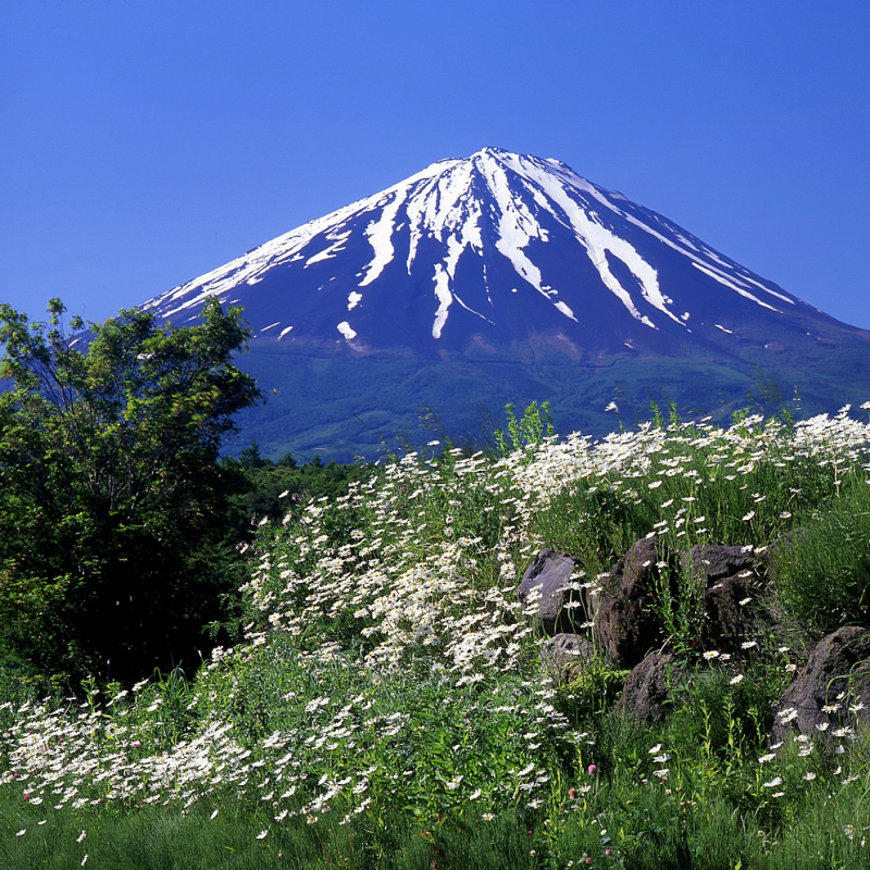 富士山画像作品