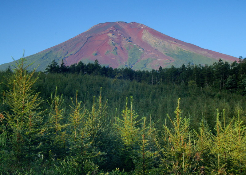 富士山画像作品