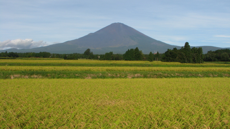 富士山画像記録