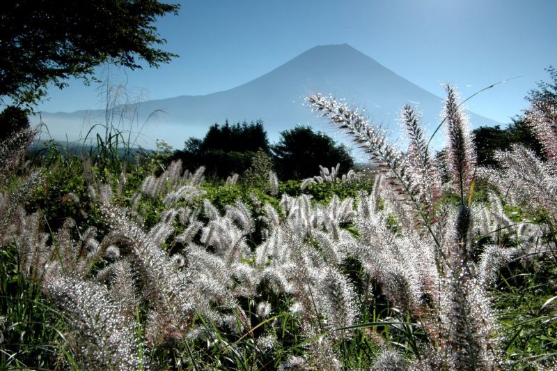 富士山画像記録