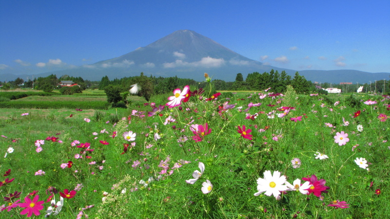 富士山画像記録