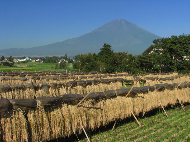 富士山画像記録