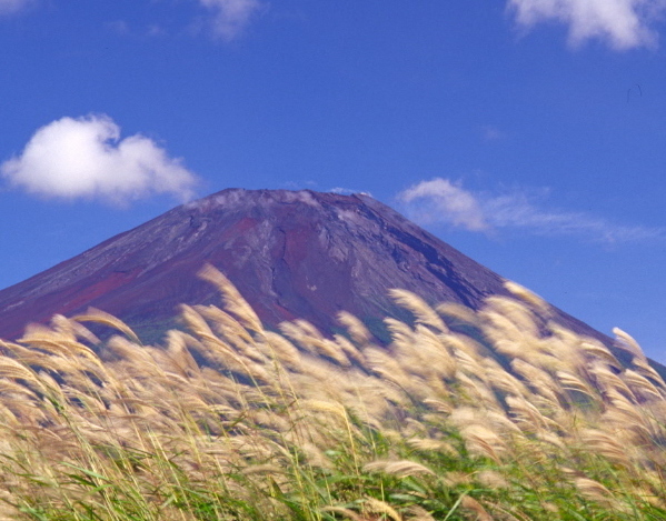 富士山画像作品