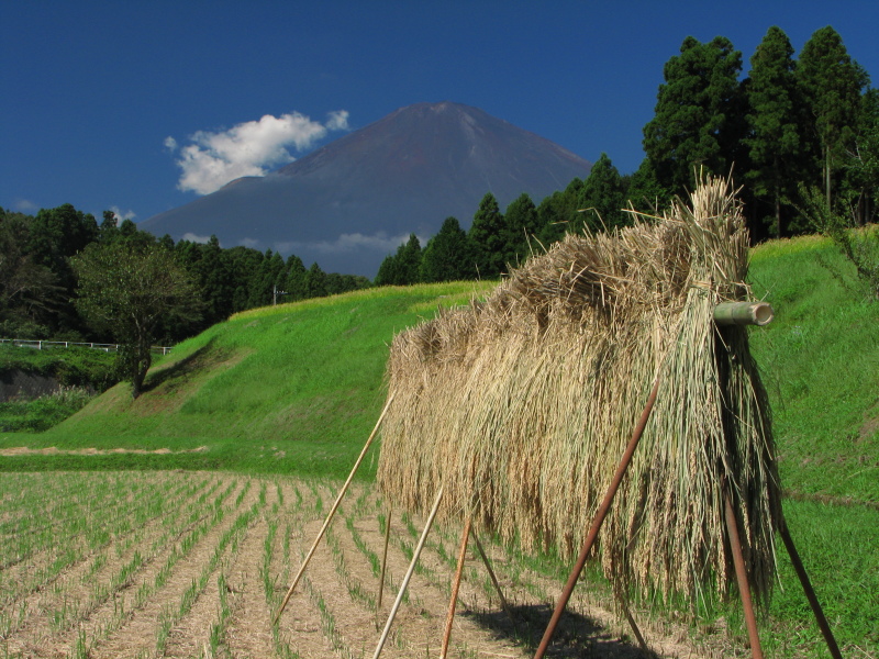 富士山画像記録