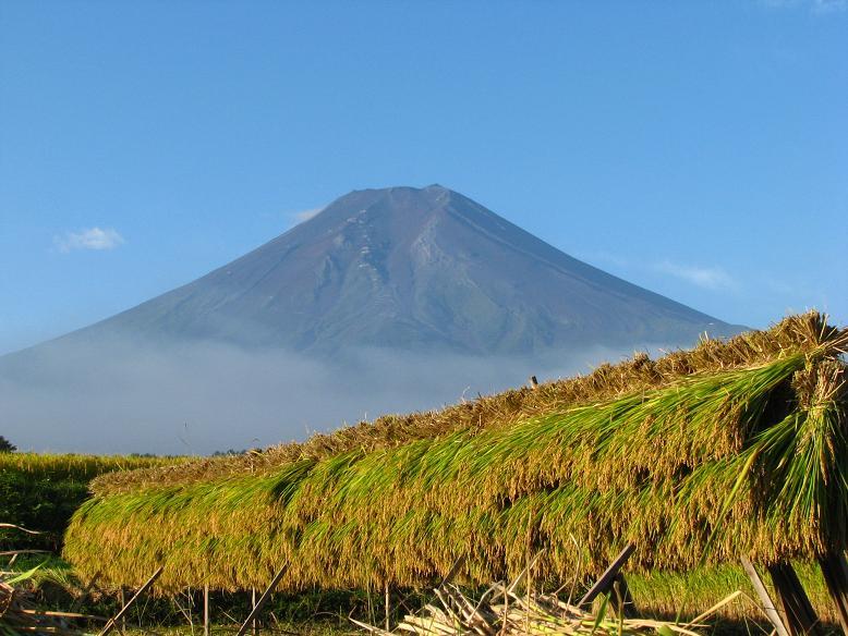 富士山画像記録