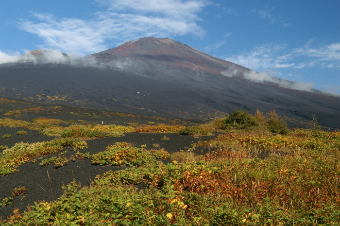 富士山画像作品