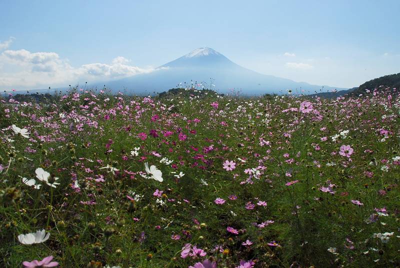 富士山画像作品