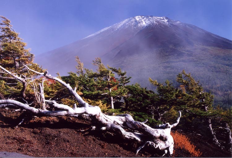 富士山画像作品