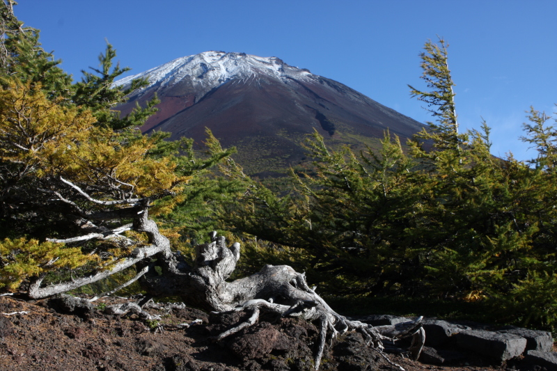 富士山画像記録