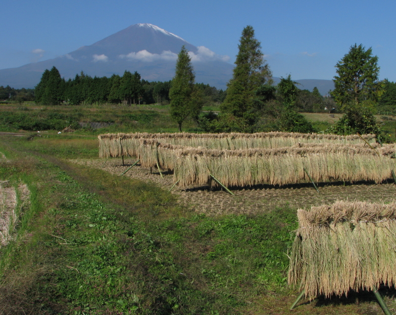 富士山画像記録