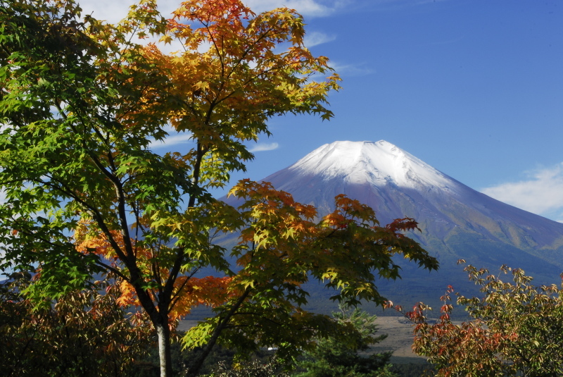 富士山画像記録