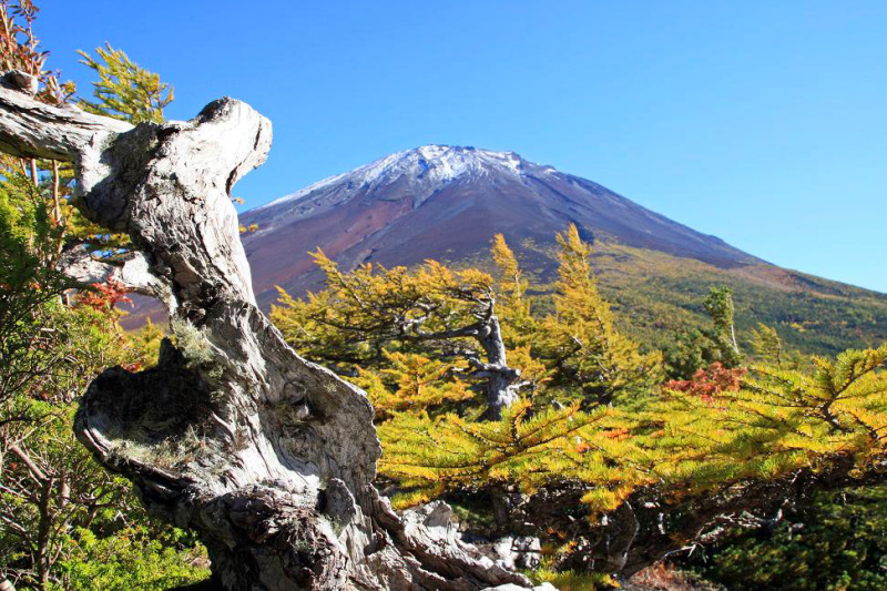 富士山画像作品