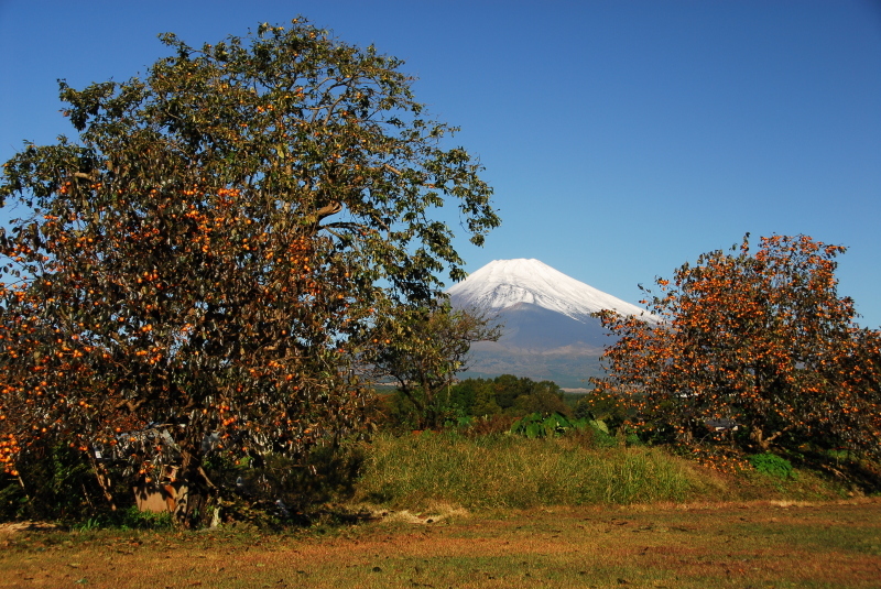 富士山画像記録