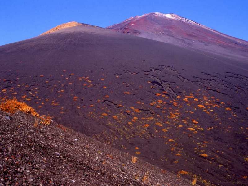 富士山画像作品