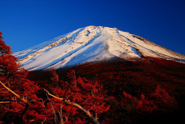 富士山画像作品