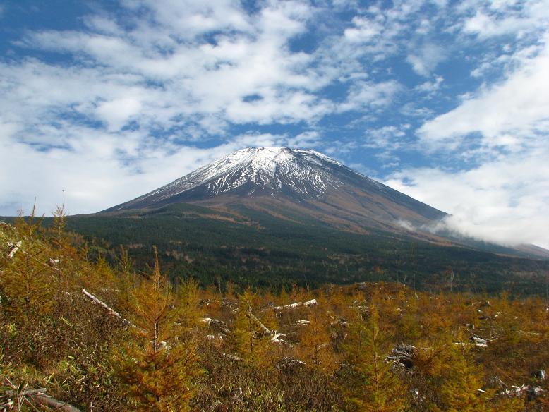 富士山画像作品