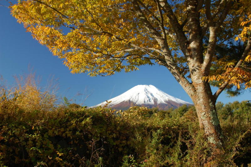 富士山画像記録