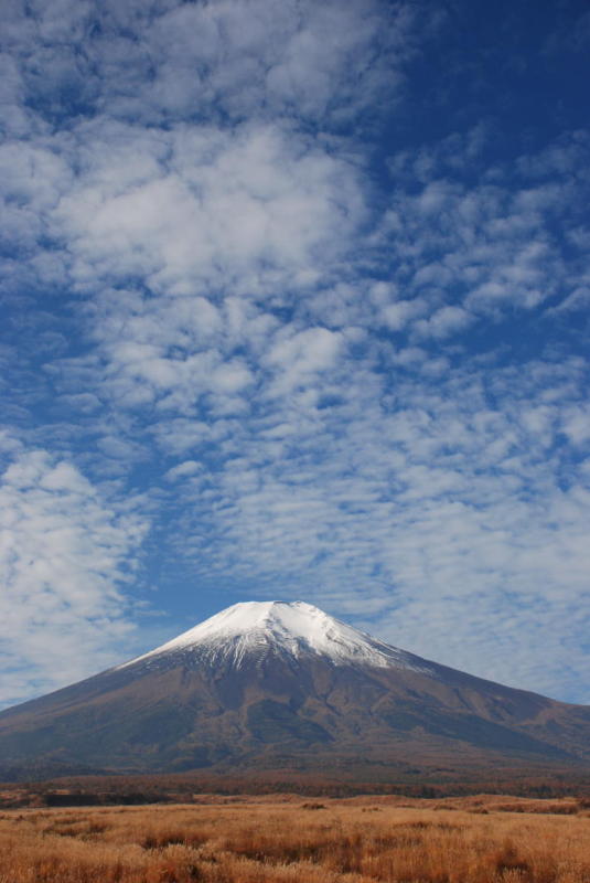 富士山画像作品