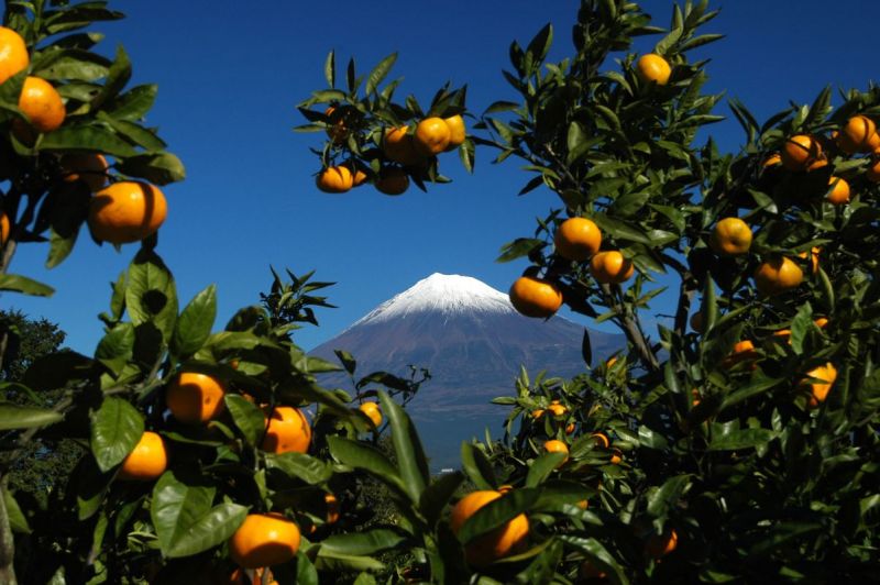 富士山画像作品