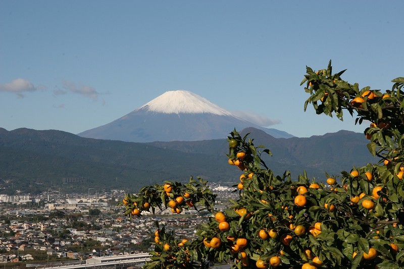 富士山画像作品