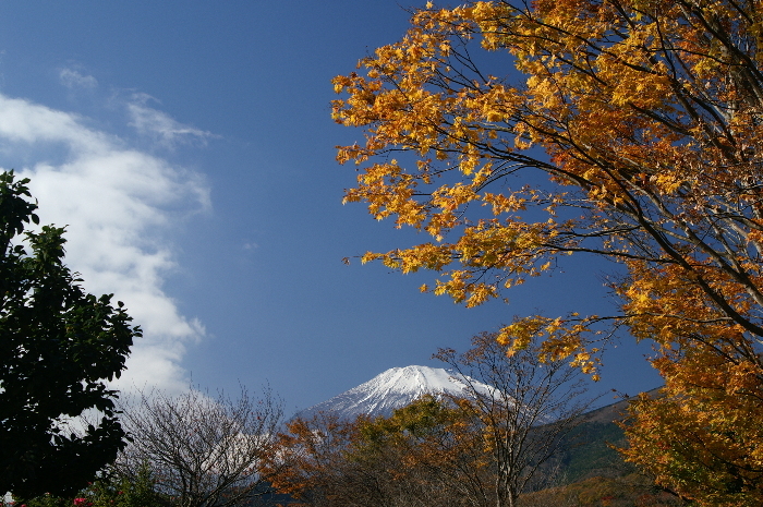 富士山画像作品