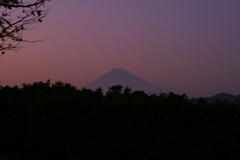 富士山画像作品