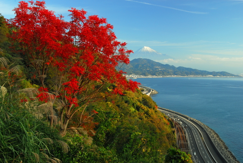 富士山画像記録