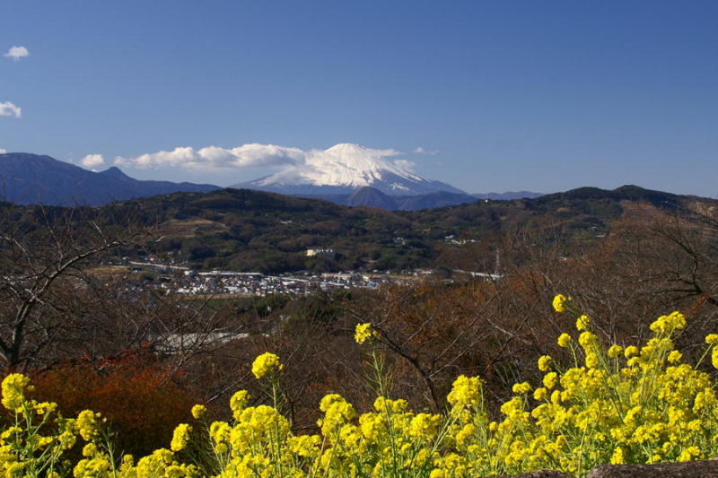 富士山画像記録