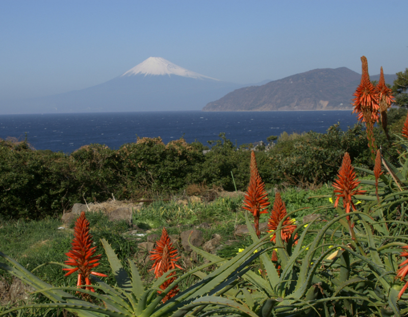 富士山画像記録