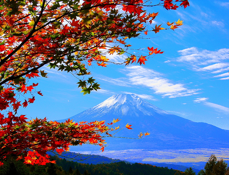 富士山画像作品