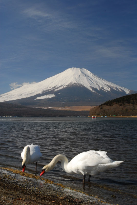 富士山画像記録