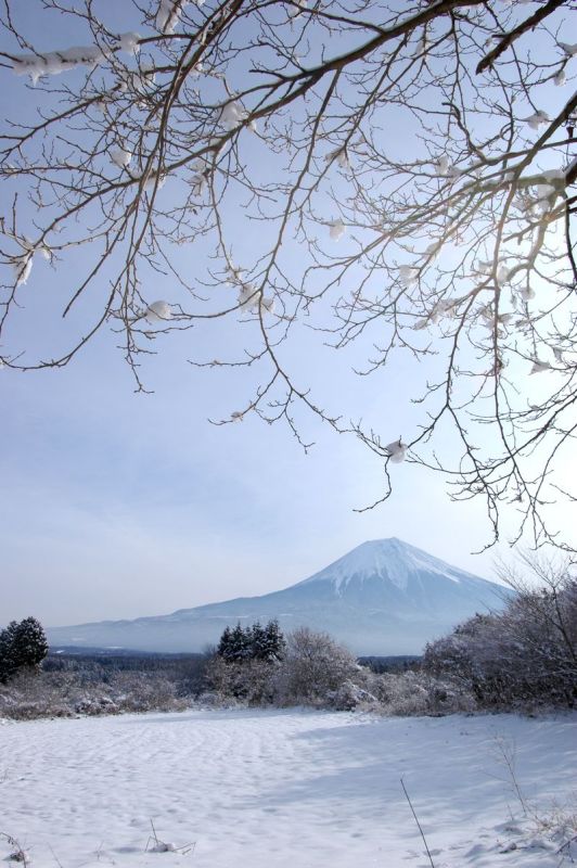 富士山画像記録