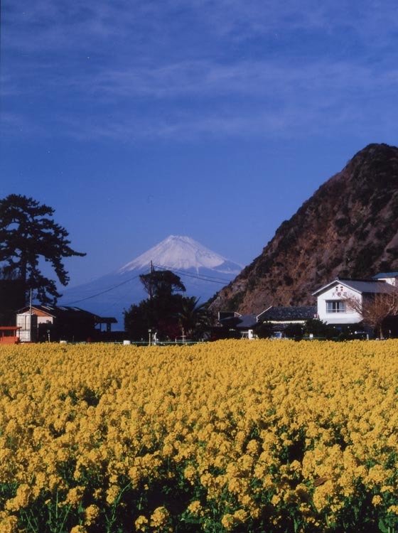 富士山画像作品